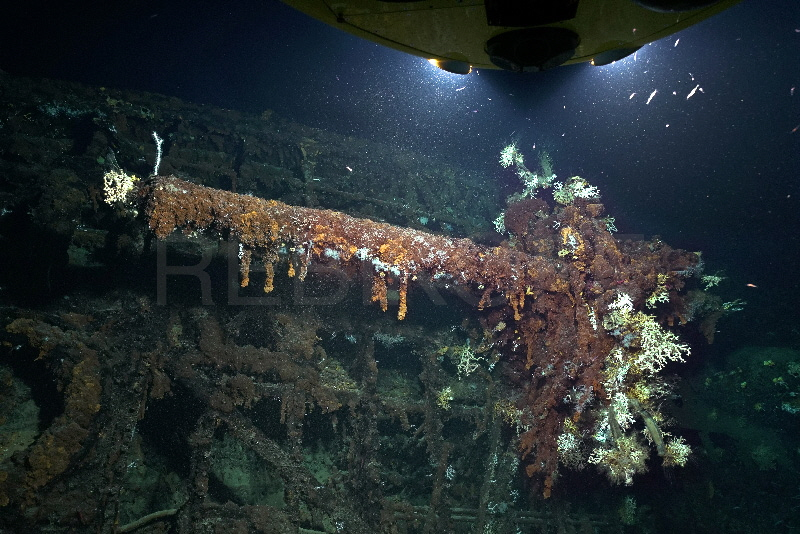 Illustration for article titled Descubren un submarino nazi hundido que inspiró el de Indiana Jones en Busca del Arca Perdida